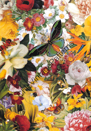 Decoupage Delights, Complete Book, Instant Download