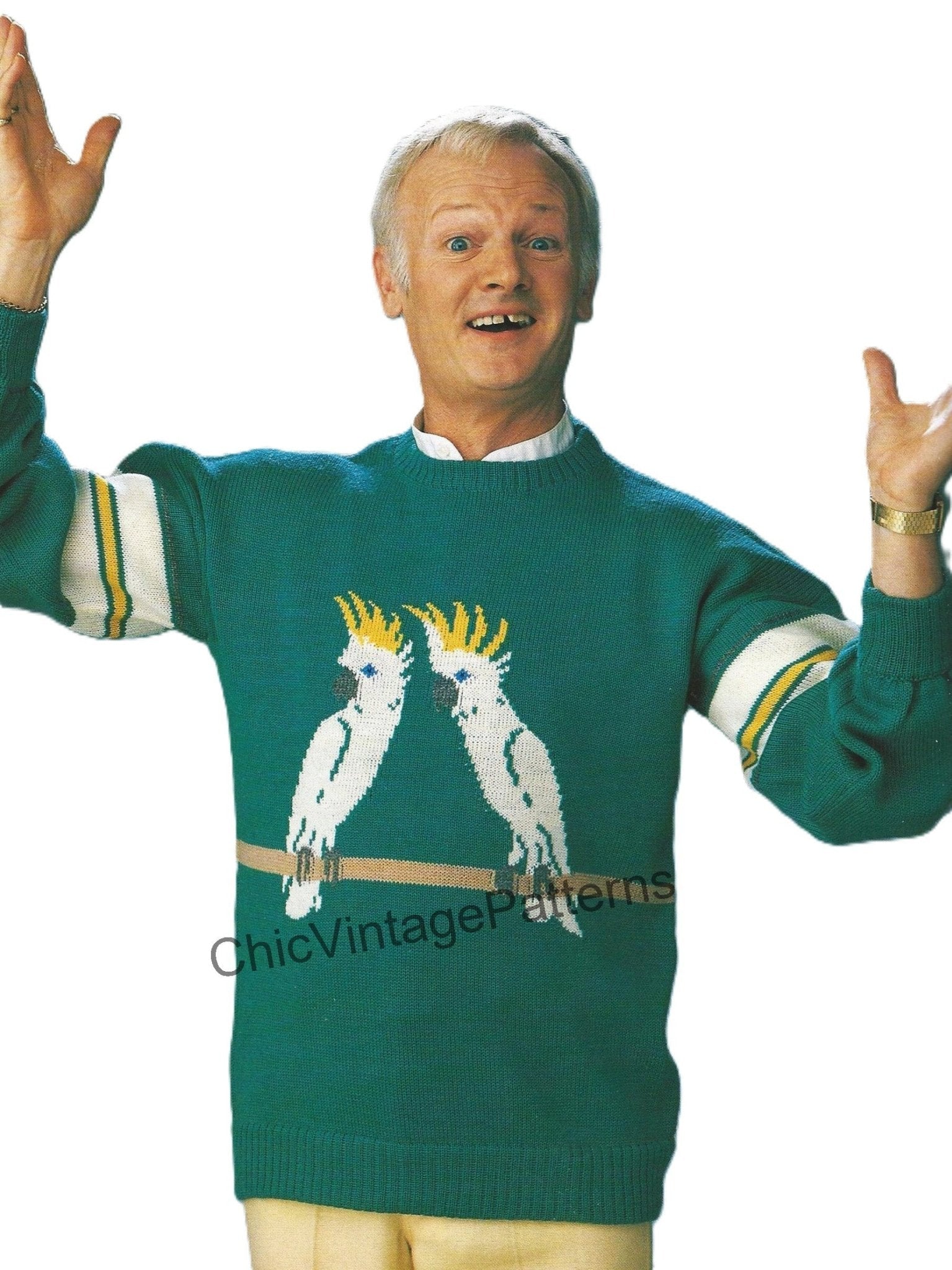 Cockatoos Knitted Jumper Pattern, Men's Free Pattern, Instant Download