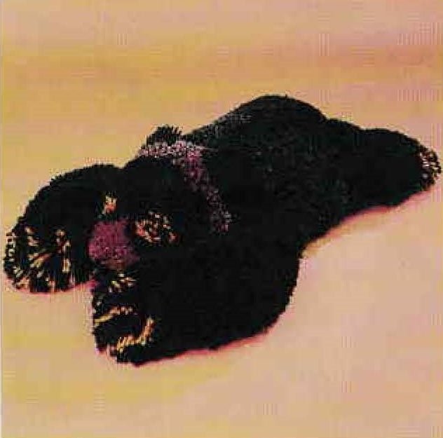 Floor Cushion Pattern, Bear Floor Cushion Hooking Pattern, Digital Download