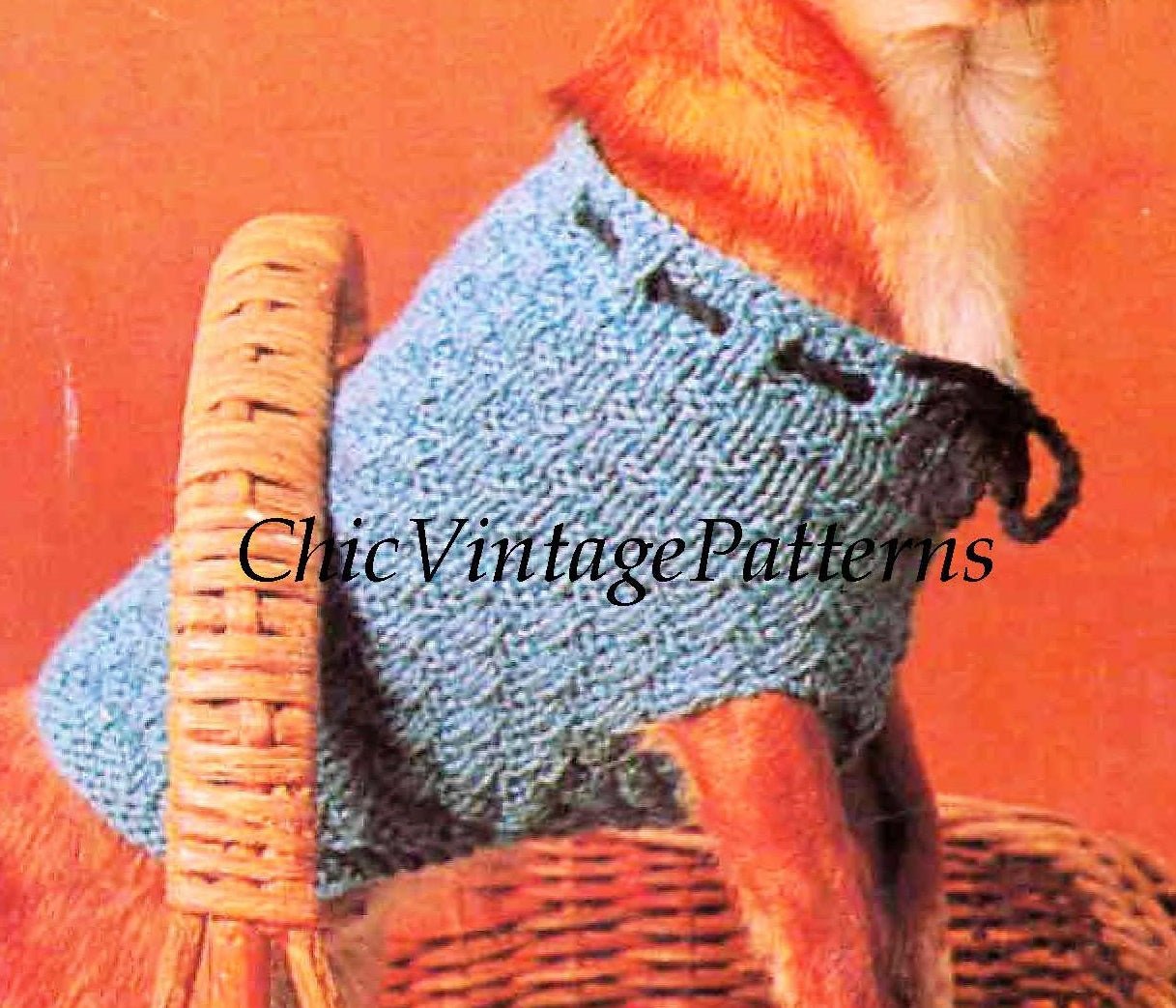 Knitted Dog Coat Pattern, Chihuahua Dog ChicVintagePatterns
