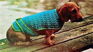 Crochet Dog Coat Pattern, EASY Pattern, Digital Download