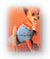 Knitted Dog Coat, Chihuahua Dog Pattern, PDF Knitting Pattern