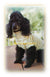 Easy- to-Knit Dog Coat Pattern, Small Dog, Instant Download