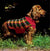 Crochet and Knitted Tartan Dog Coat, Instant Download, Plaid Coat