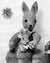 Knitted Kangaroo and Baby Pattern, Vintage Soft Toy, Instant Download