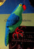 Crochet Parrot Pattern, Toy Parrot, Instant Download